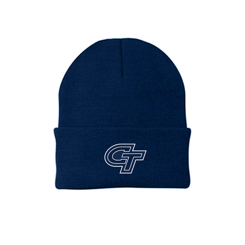 Colony Titans Dad Hat (Embroidered)